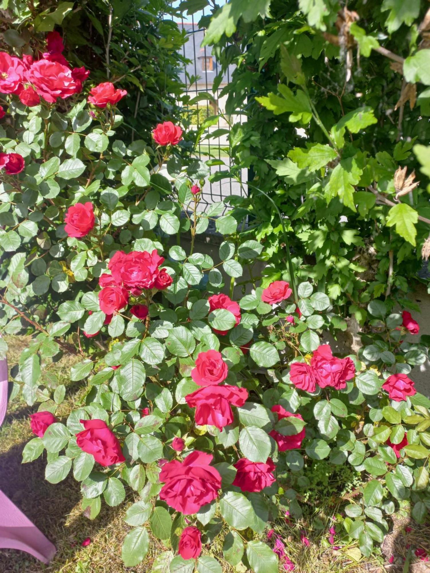 Maison Avec Jardin Ade ภายนอก รูปภาพ